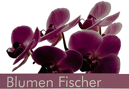 Logo Blumen Fischer